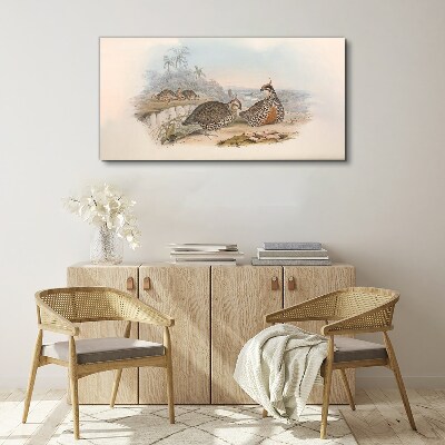 Vászonkép Kacsák trópusi környezetben