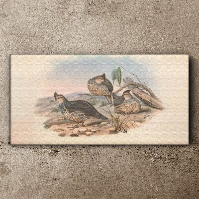 Vászonkép Békés madárvilág a tengerparton