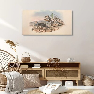 Vászonkép Békés madárvilág a tengerparton