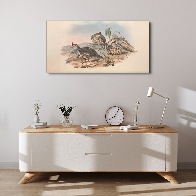 Vászonkép Békés madárvilág a tengerparton