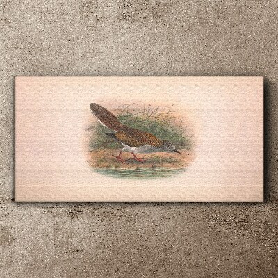 Vászonkép Madár a víz felett
