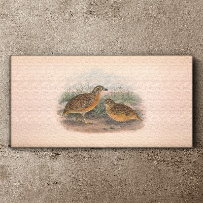 Vászonkép Két madár a fűben