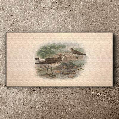 Vászonkép Madarak a víz felett