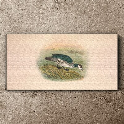 Vászonkép Madár a víz háttér