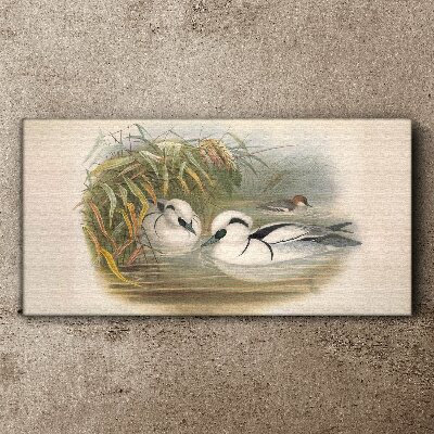 Vászonkép Idilli duett a füvek között