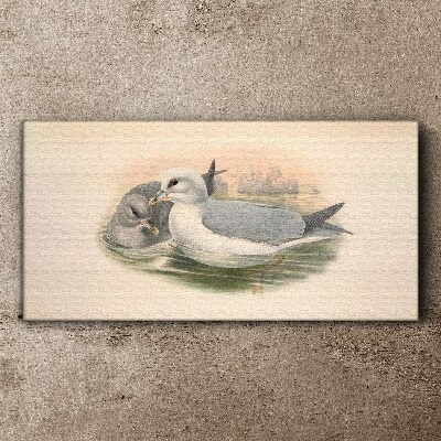 Vászonkép Tengeri madarak a nyugodt vízben