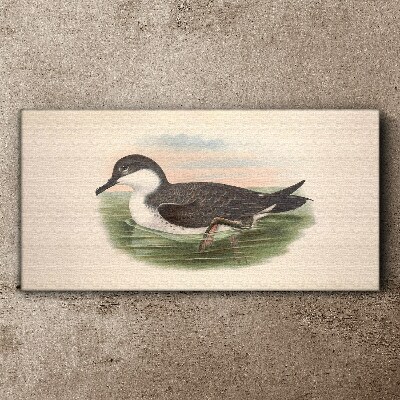 Vászonkép Madár a víz háttér