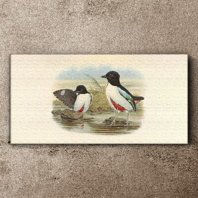 Vászonkép Madarak a víz felett