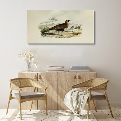 Vászonkép Madarak Vadállatok