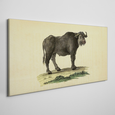 Vászonkép Bivaly természetes alapon