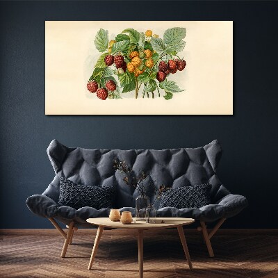 Vászonkép Gyümölcsös csokor málnából és szederből