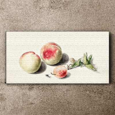 Vászonkép Lédús őszibarack világos háttéren