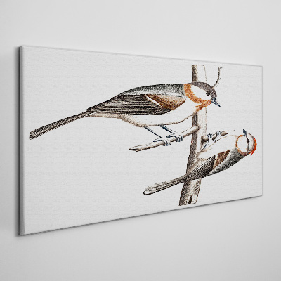 Vászonkép Csalogányok egy ágon