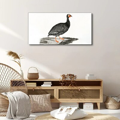 Vászonkép Fekete madár fehér háttér