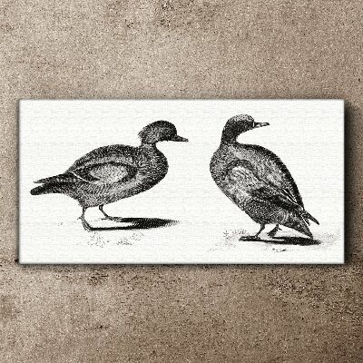 Vászonkép Két kacsa monokróm stílusban