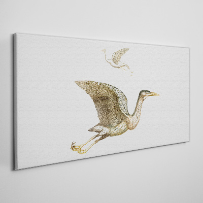 Vászonkép Madár repülése nyugodt víz felett