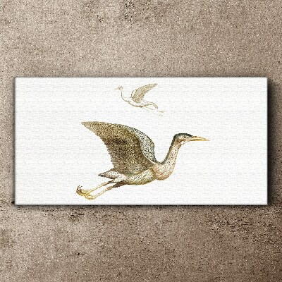 Vászonkép Madár repülése nyugodt víz felett