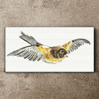 Vászonkép Egy madár fenséges repülése