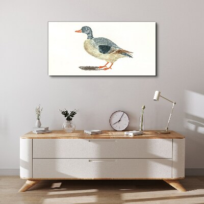 Vászonkép Kacsa pasztell árnyalatokban