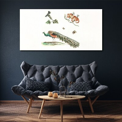 Vászonkép Páva virágok és rovarok között