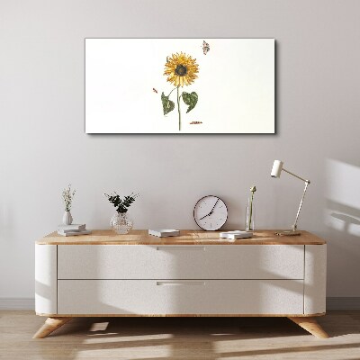 Vászonkép Napraforgó finom kompozícióban