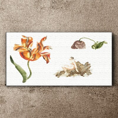 Vászonkép Virágmotívumok finom árnyalatokban