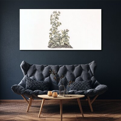 Vászonkép Növények lágy fényben