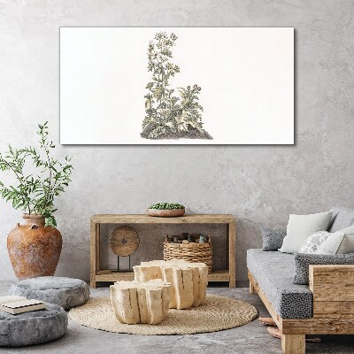 Vászonkép Növények lágy fényben