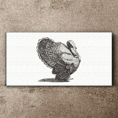 Vászonkép A pulyka eleganciája a részletekben