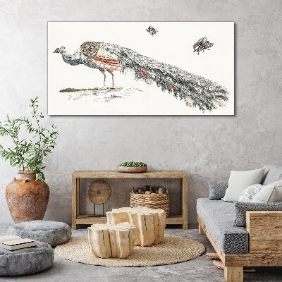 Vászonkép Páva legyekkel