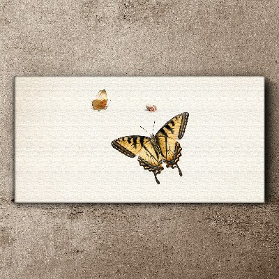 Vászonkép Pillangók finom harmóniában