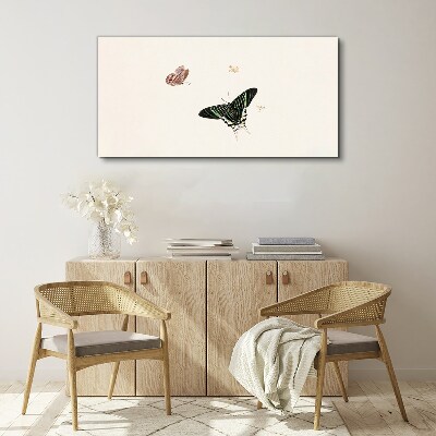 Vászonkép Pillangók finom táncban