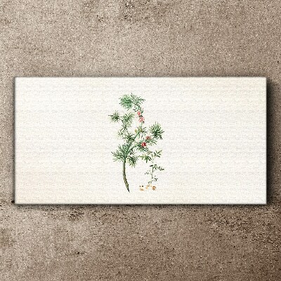 Vászonkép Finom növényzet pasztell színekben