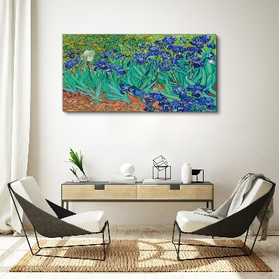 Vászonkép Íriszek a virágzásban