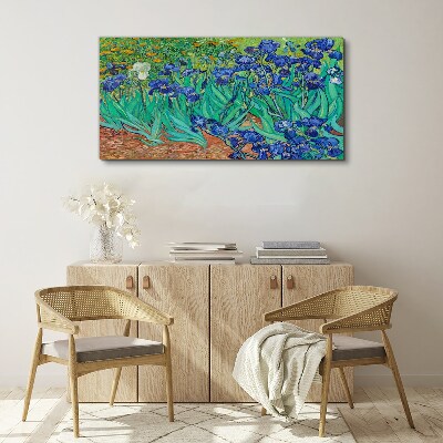 Vászonkép Íriszek a virágzásban