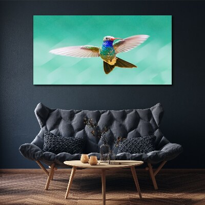 Vászonkép Kolibri kék háttérrel