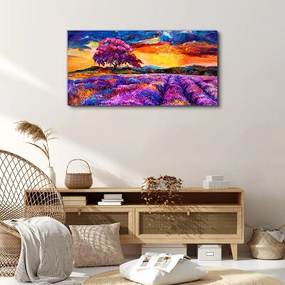 Vászonkép Lila levendulamezők naplementekor