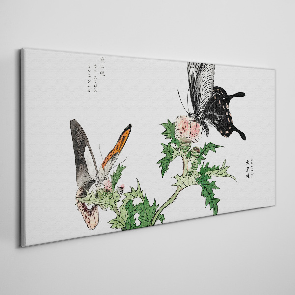 Vászonkép Pillangók a növényzet hátterében