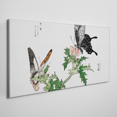 Vászonkép Pillangók a növényzet hátterében