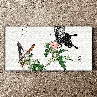 Vászonkép Pillangók a növényzet hátterében