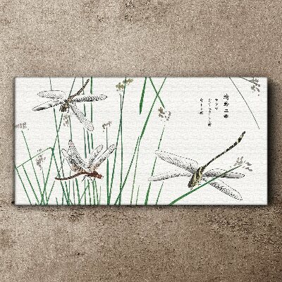 Vászonkép Karcsú szitakötők zöld környezetben