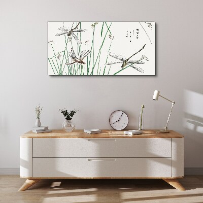 Vászonkép Karcsú szitakötők zöld környezetben