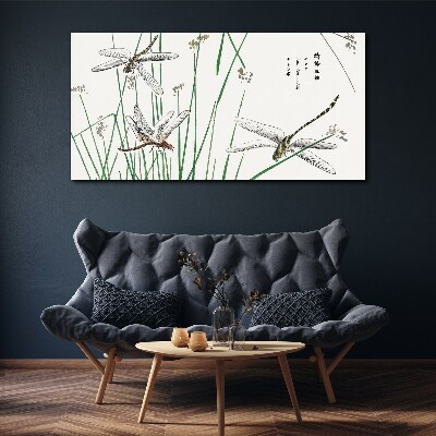 Vászonkép Karcsú szitakötők zöld környezetben