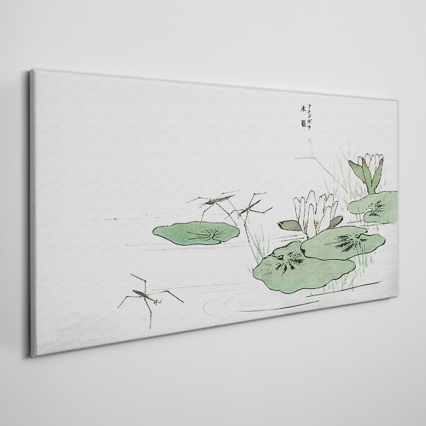 Vászonkép Tavirózsa a tavon