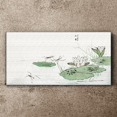 Vászonkép Tavirózsa a tavon