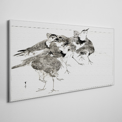 Vászonkép Egy nyáj madár fehér háttér előtt