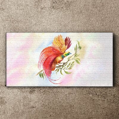 Vászonkép Színes madár egy ágon