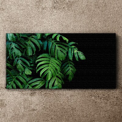 Vászonkép Zöld levelek fekete alapon