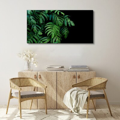 Vászonkép Zöld levelek fekete alapon