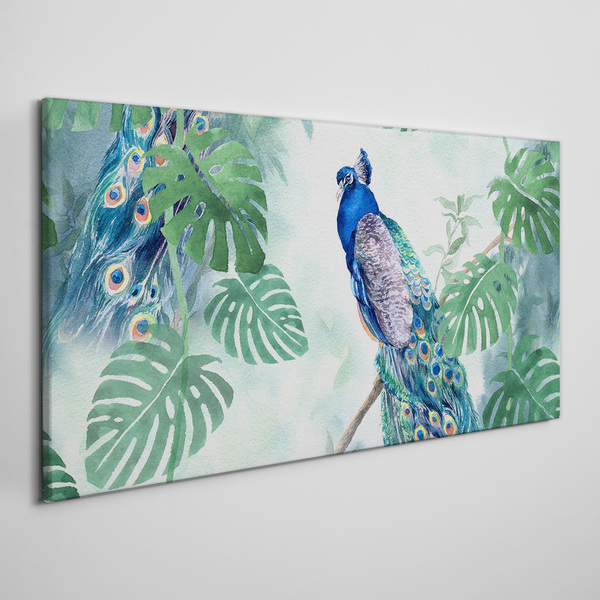 Vászonkép Páva a trópusi dzsungelben